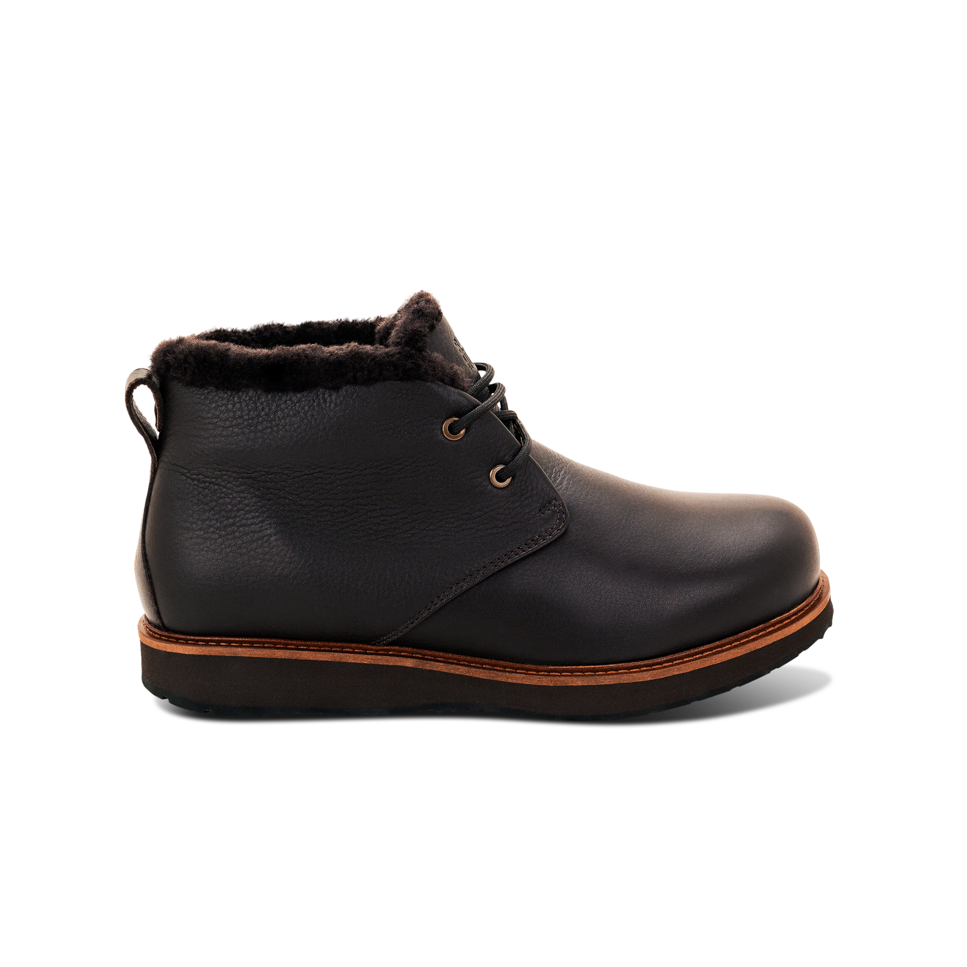 Men's Winter's Day Boot